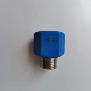 帮客材配 全新热水器40/50/60/80MK/MG/ES/EL/EH/EQ/E50W1/EW/EP防电墙接头(蓝)