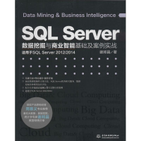 音像SL Server数据挖掘与商业智基础案例实战谢邦昌 著