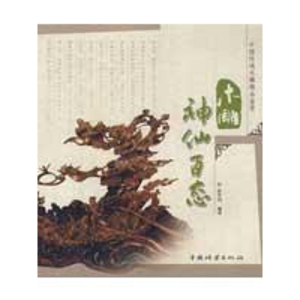[M]木雕神仙百态-9787503853982
