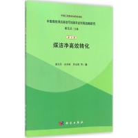 [M]煤洁净高效转化-9787030403391