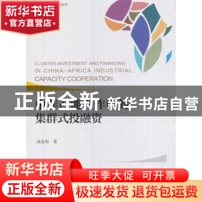 正版 中非产能合作中的集群式投融资 高连和著 经济科学出版社 97