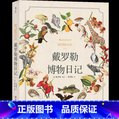 [正版]戴罗勒博物日记 自然科普博物手账秘密花园涂色书画本儿童艺术书籍