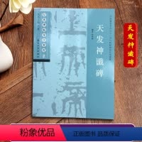 天发神谶碑 [正版]天发神谶碑 经典碑帖导学教程 临摹篆书书法练习毛笔字帖 附完整碑文 笔画部首结构讲解 苏州大学出版社