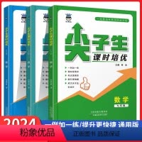 数学 九年级/初中三年级 [正版]2024新版奥数王尖子生课时培优拔尖培优训练数学拔高训练练习册初中七八九年级全国通用教