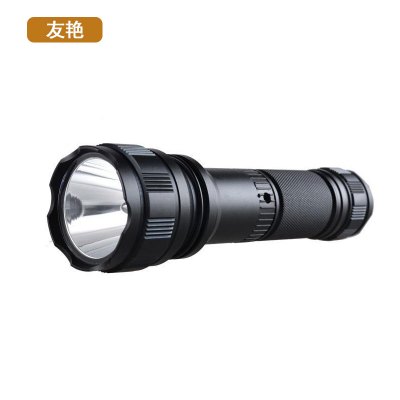 友艳手电筒YYSD-100/个