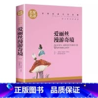 爱丽丝漫游奇境 [正版]爱丽丝漫游奇境小学生初中生课外阅读书世界经典文学名著cs