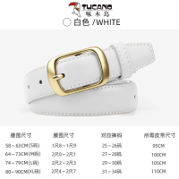 啄木鸟皮带女士2025新款休闲百搭真品针扣配牛仔裤皮腰带高级感潮