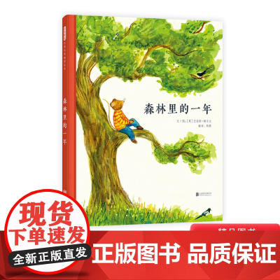 森林里的一年精装绘本互动翻翻书一个充满诗意的森林童话一堂优雅的自然启蒙课和孩子一起发现自然之美3岁4岁5岁6岁启发正版童