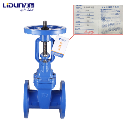 力盾 法兰明杆弹性座封闸阀 6541 DN300 台