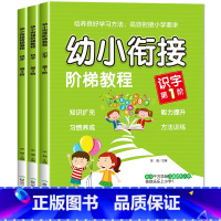 [单册]识字1-3阶段 [正版]幼小衔接阶梯教程拼音识字数学看图说话写话一日一练第1-3阶幼儿园大班升小学一年级幼升小衔