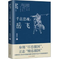 音像千古忠魂--岳飞/宋朝往事系列陈俊达