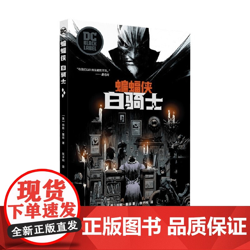 蝙蝠侠 白骑士 尚恩·墨菲 著 每个人都有自己的挣扎与抉择 回忆与梦想 艺术