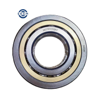 SKSM深沟球轴承3E176313QKT