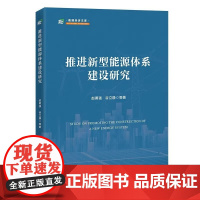 2025新书 推进新型能源体系建设研究 赵勇强 构建新型能源体系是实现中国式现代化的重要保障 中国经济出版社 97875
