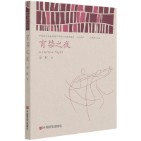 音像宵禁之夜/中出版国际营销平台精选图书文学书系金虹 著