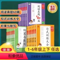 英语阅读真题精选100篇[全一册] 小学五年级 [正版]2024版53积累与默写小学语文句式训练大全通用版53阅读真题6