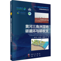 [M]黄河三角洲湿地碳循环与碳收支 韩广轩 等 著 -9787030710765