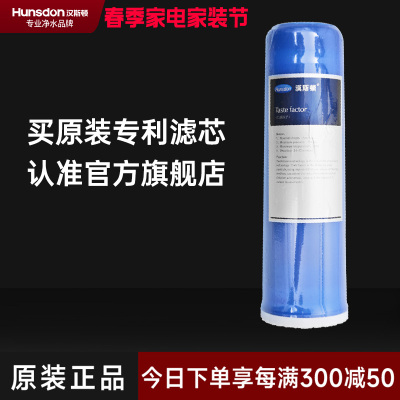 汉斯顿/Hunson 净水器净水伴侣后置 口感因子滤芯