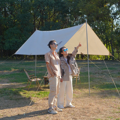 大迈星际漫步天幕-麦浪棕DM-1011M