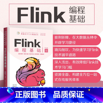 [正版]Flink编程基础(Scala版) 林子雨 计算机科学与技术数据处理软件