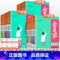[人教版]语文 九年级下 [正版]2024版少年班七八九年级上册下册语文数学英语物理化学政治历史地理生物人教版初中同步练