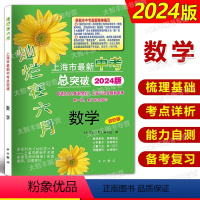 灿烂在六月 中考总突破 数学 上海 [正版]2024版灿烂在六月上海市中考总突破 数学 双色版 适2021年起始的上海7