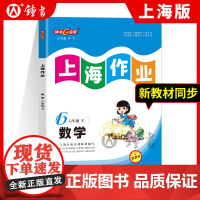钟书金牌上海作业六年级下数学6下数学六下第二学期上海沪教版教辅书练习册上海作业数学六年级下