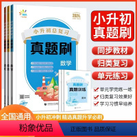 语文 小学通用 [正版]2024版53一起同学 小升初总复习真题刷语文数学英语5-6年级适用全国通用小学总复习用书小学真