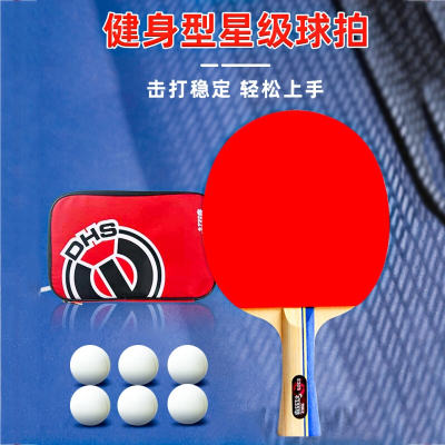  红双喜(DHS)2星级乒乓球拍红双喜儿童中小学生初学二三四星专业兵乓球单双拍