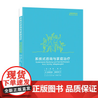 [正版]系统式咨询与家庭治疗 心理咨询进阶丛书•家庭成长系列 德 瑞纳•史汶 德 安德里亚斯•弗里斯泽尔著 翻译 任洁