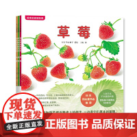 好多好多好吃的(全3册) 平山和子 草莓 水果 蔬菜 食育绘本 阅读启蒙 爱心树绘本 亲子共读 345679岁 爱心树