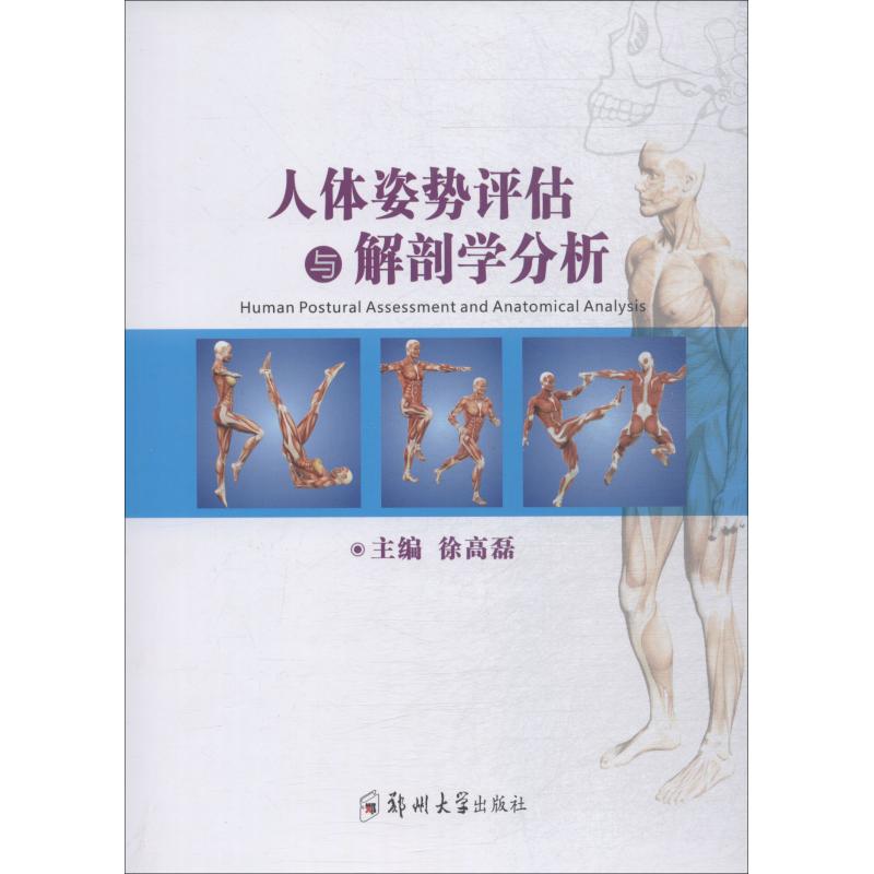 人体姿势评估与解剖学分析 徐高磊 著 徐高磊 编 大中专 文轩网