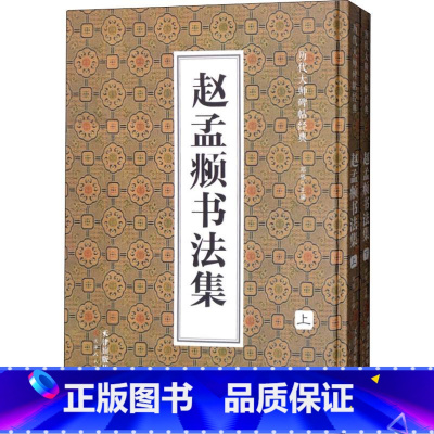 [正版]历代大师碑帖经典 赵孟頫书法集(2册) 赵孟頫 毛笔书法 艺术 天津人民美术出版社有限公司