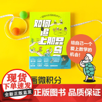 超轻松的漫画微积分 如何追上那只乌龟 李剑龙等著 正版 中信出版社