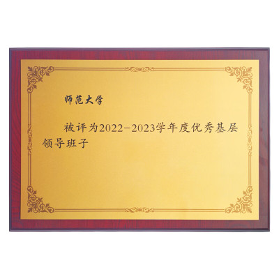 春羽宏博 热转印木托奖牌35*50cm 可定制 J868/块