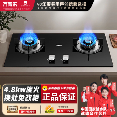万家乐 Y1R2燃气灶4.8kw大火力3D旋火均匀加热 3D旋直火家用灶具 天然气