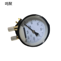 鸣聚 压力表 YZS 个