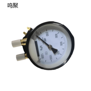 鸣聚 压力表 YZS 个