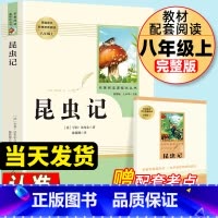 八上;昆虫记 人教版 赠品考点 [正版]昆虫记原著完整版法布尔八年级上册必读人教版初二中学生课外阅读书目人民教育出版社初