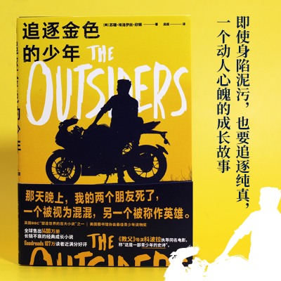 正版新书]追逐金色的少年(美)苏珊·埃洛伊丝·欣顿9787213103810