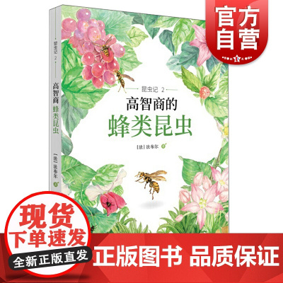 昆虫记2高智商的蜂类昆虫 阅读指导 科普/百科 少年儿童 世纪百科