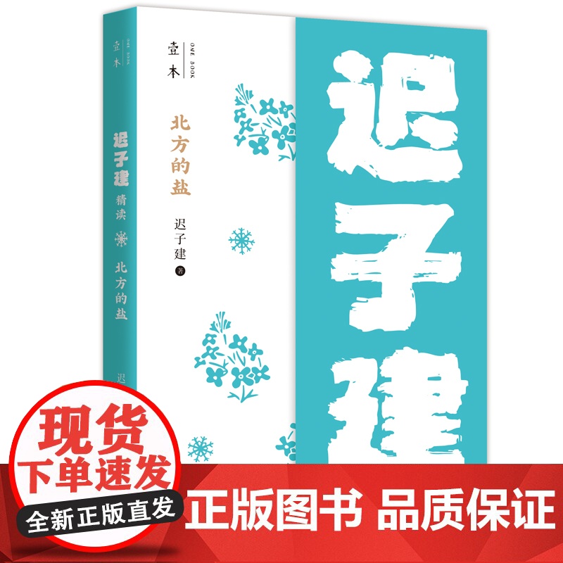 北方的盐:迟子建精读(壹本系列)