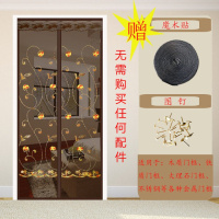 夏季网纱窗防蚊帘卧室家用魔术贴隔断磁性磁铁对吸自吸防蝇 咖啡玫瑰刺绣(魔术贴) 180*220cm