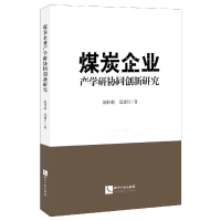 音像煤炭企业产学研协同创新研究陈怀超