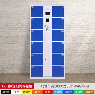 易企采 超市存包柜商场指纹条码刷卡扫码智能人脸手机寄存放柜电子储物柜 12门微信扫码型