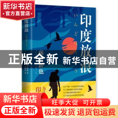 正版 印度放浪 (日)藤原新也著 新星出版社 9787513329767 书籍