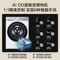 LG FCW12Y4PA 小旋风系列12KG家用洗衣机全自动 直驱变频 洗净比1.1 360°速净喷淋银