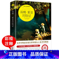 汤姆索亚历险记 [正版]汤姆索亚历险记原著历险记原版 快乐读书吧 六年级下册阅读课外书老师美绘珍藏版小学生课外书阅读书籍