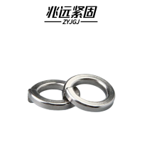 兆远紧固 304不锈钢弹簧垫圈(个)(φ30)