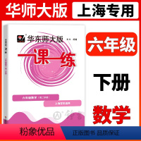 [正版]2024华东师大版一课一练六年级下册数学6年级下册第二学期华师大一课一练沪教版上海初中教辅同步配套练习册华东师